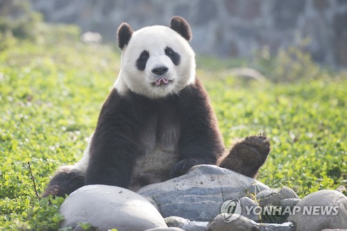 中韩人力网