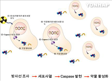 抗癌药剂抗药性原理已被查明-- 中韩人力网