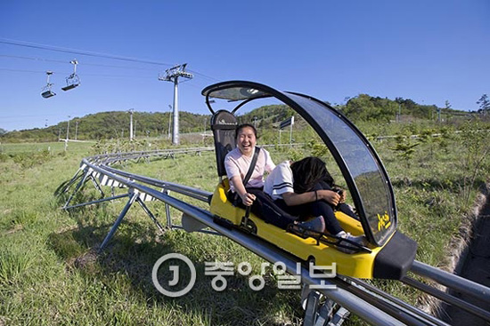 中韩人力网小编君推荐：Alpensia度假村的ALPINE COASTER 