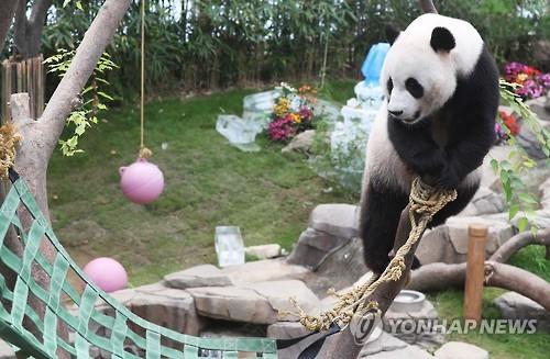 7月10日在爱宝乐园，乐宝正在玩吊床。--  中韩人力网