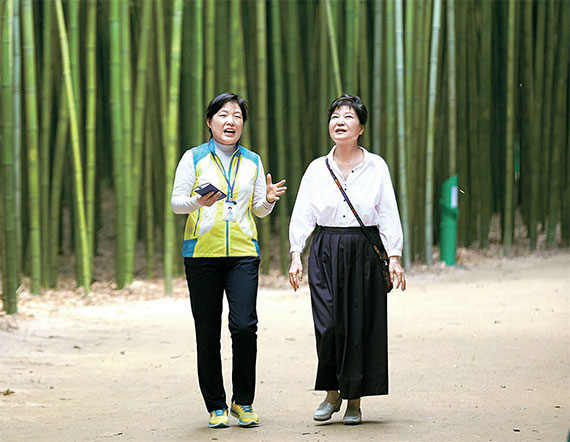   朴槿惠总统访问了太和江十里竹林。---  中韩人力网