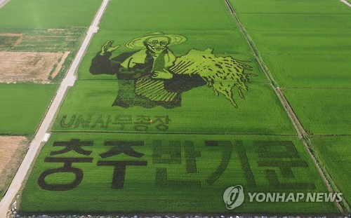 在地处忠州门户的近万平米稻田上，忠州市农业技术中心种植彩稻打造巨幅的潘基文肖像画。潘基文有望竞选总统。  --- 中韩人力网