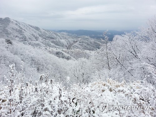 平昌大关岭雪景。 --- 中韩人力网-韩国旅游