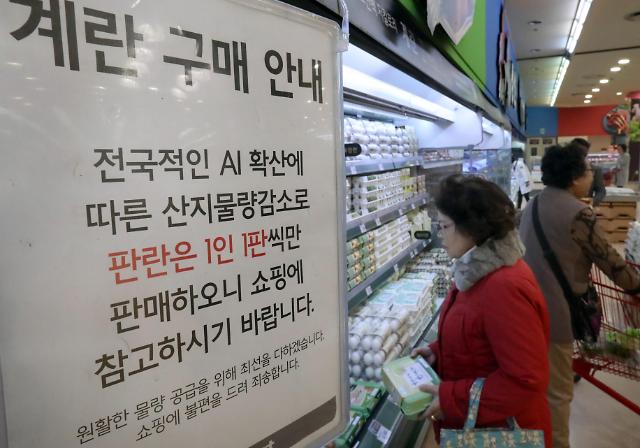韩国蛋荒大型超市鸡蛋限购 都是禽流感惹的祸。---  中韩人力网