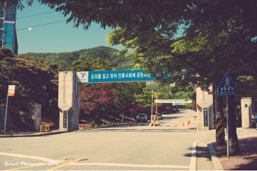艺术生留学为什么选择韩国龙仁大学？