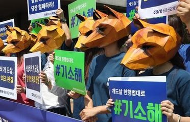 青瓦台关注韩国民众关于立法禁食狗肉请愿。--- 中韩人力网