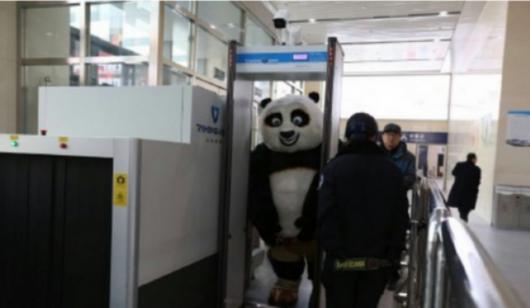 中韩人力网