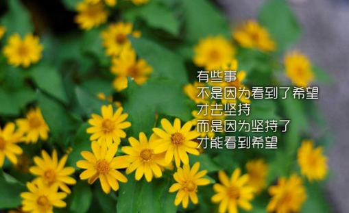 韩企求职,韩企招聘,韩语招聘,中韩人力网