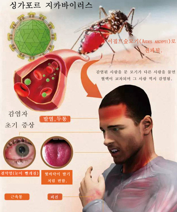 중국 정보, 중국 뉴스,중한인력망 