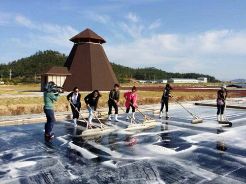 韩全南新安郡政府将每年向中国出口1万吨的海盐。---中韩人力网