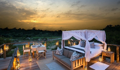 럭셔리 통나무 호텔: 이 5성급 럭셔리 통나무 호텔은 남아프리카공화국 크루거 국립공원과 인접해 있어 입실하는 투숙객은 사자와 표범 그리고 코끼리 등의 대자연 생태를 볼 수 있을 뿐만 아니라, 침대에 누워 별이 총총한 하늘을 마음껏 감상할 수도 있다. 이 호텔의 1박 가격은 188파운드(한화 약 28만 원)이다. 