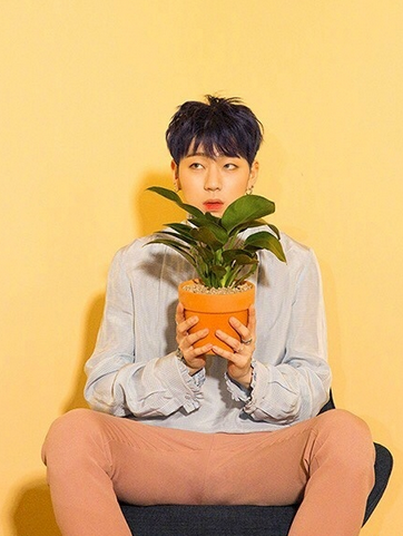  ZICO,禹智皓,《SHE’S A BABY》,朝鲜族网站,韩国娱乐新闻网站