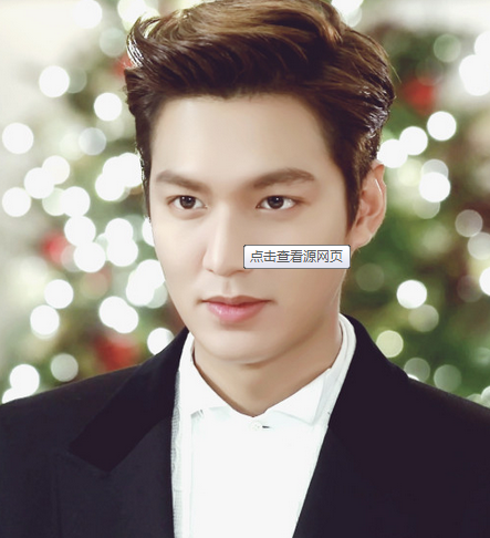 李敏镐