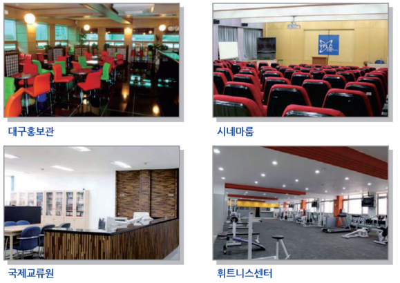 韩国带薪留学经验分享，岭南外国语大学中国办事处