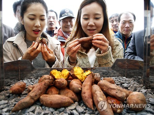 韩国人最爱的冬季小吃:烤栗子,烤红薯,小鱼饼和鱼糕串.-- 中韩人力网