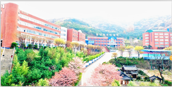 2018年韩国岭南外国语大学留学申请进行中