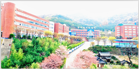韩国留学——岭南外大带薪留学