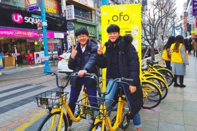 共享单车OFO摩拜骑进韩国釜山水原。--- 中韩人力网