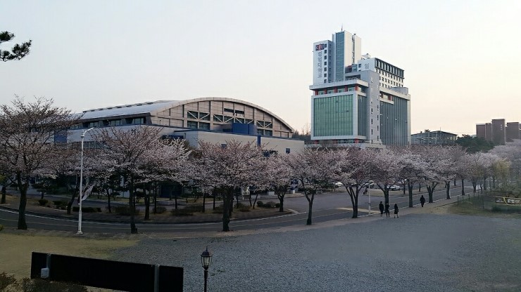 在韩国庆一大学留学奖学金如何成功申请