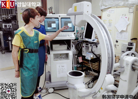 庆一大学医用工程专业全面解析——中韩人力网