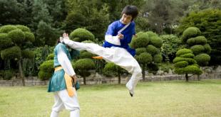 体育强校之龙仁大学东方武艺专业——中韩人力网