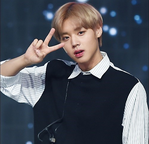 WannaOne朴志训开通社交账号 平台因人数激增崩溃——中韩人力网