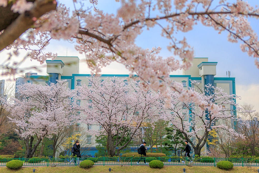 韩国留学 面试时的注意事项