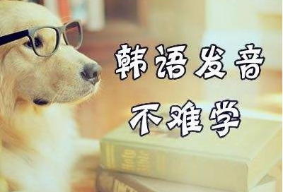 韩语学习,韩语发音,韩语语法,韩语学习网,韩语新手入门