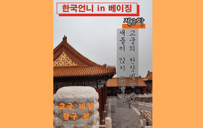 한국언니 in 베이징] ‘고궁 비밀탐구 편’ ③: 고궁의 천장에는 왜 새들이 앉지 않을까?