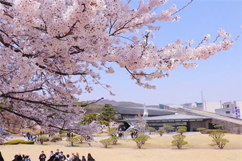 韩国留学签证办理 怎么顺利办理签证——韩国留学申请中心网