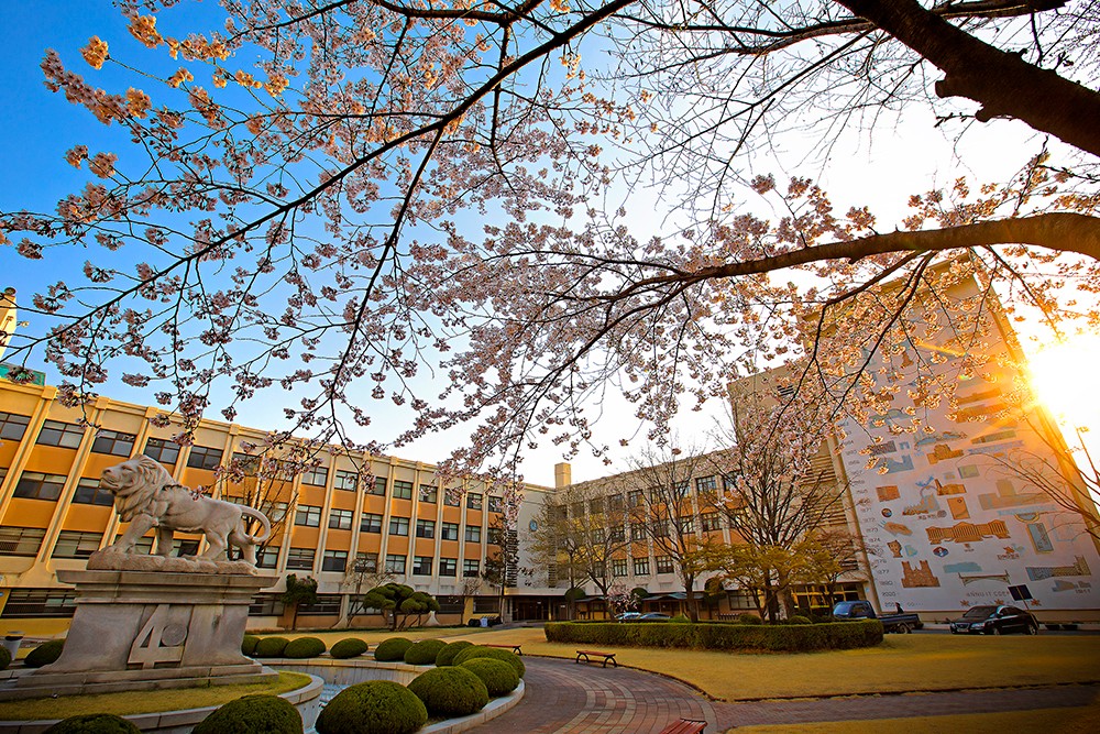 韩国留学申请方案 专科生怎么申请韩国的留学——韩国留学申请中心网